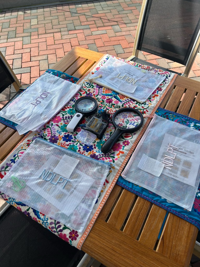 Needlepoint kits laid out on a table, with mesh project bags and magnifiers